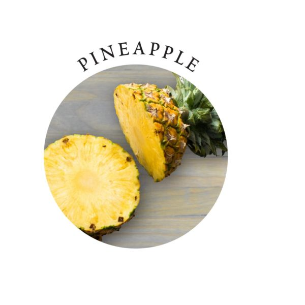 Tasty Travel Gift Set (2 oz, Pineapple Scent) - Sheets Optional